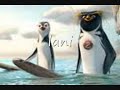 surfs up viva la vida