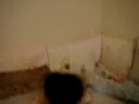 Brandon Topless