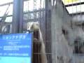 横浜市立 野毛山動物園 (1of2)