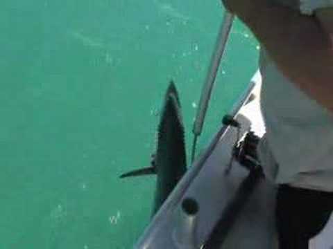 Melville Island Lodge