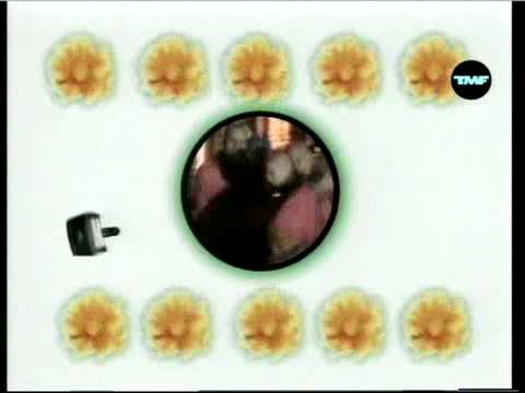 Party Animals - Have You Ever Been Mellow