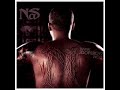 **nas n i g g e r** exclusive album cover  download!!