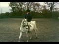 videos de Best Pony of 2008 - Molly