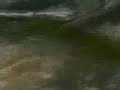 Strange Thing in the Water
