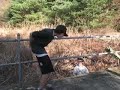 Joey Gets Egg\ Joey Gets Egg\