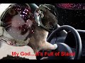 very funny cats 4