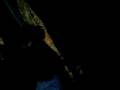 videos de cumple pork 28-11-08