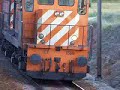 CP 1550 na LVN CP 1550 na LVN