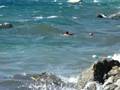 Kids swimming in storm from rafts to shore