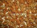 Dog Food Testing - Just How Good IS Commercial Dog Kibble?