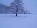Weekend snow.AVI