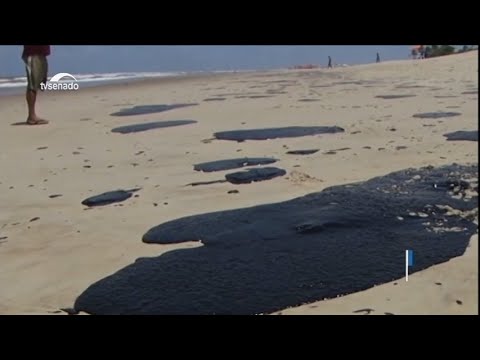 Responsáveis por óleo em praias do Nordeste precisam ser identificados, dizem debatedores