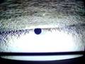 videos de Halo 2 Stuff
