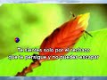 FUNKY - DALE LA MANO AL CAIDO (karaoke)