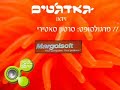 Margolsoft