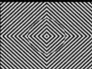 Optical Illusion Optical Illusion