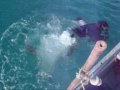 videos de sham 0004
