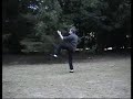 Cheng Man Ching 37 Posture T'ai Chi Short Form Demonstration