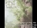 watching you/roger nichols&scof watching you/roger nichols&scof