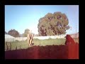The Most Bucking-ist Horse