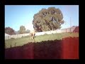 The Most Bucking-ist Horse
