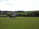 Polocrosse At Millarville