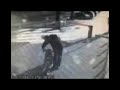 Crash Motorcycle
