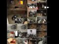 Photos_0001.mp4