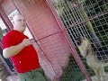 O cachorro O cachorro