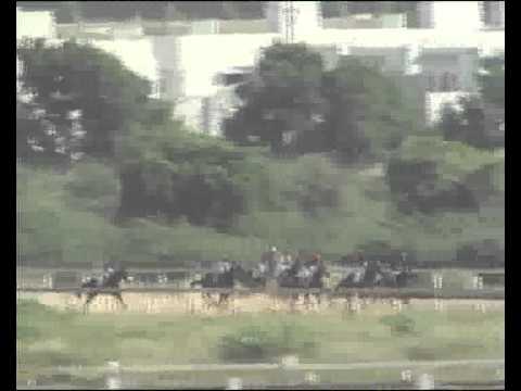 racing results cheltenham