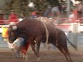 WRBRA: Calf, Steer and BULL RIDING Fast Action
