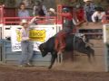WRBRA: Calf, Steer and BULL RIDING fast action