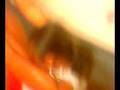 videos de Trilly tril