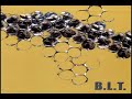BLT AND DANNI MAKOV - PATTERNS OF A BALTER ( EXTENDED MIX ) BLT AND DANNI MAKOV - PATTERNS OF A BALTER ( EXTENDED MIX )