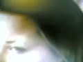 P J KURIEN MP SURYANELLI RAPIST KERALA P J KURIEN MP SURYANELLI RAPIST KERALA