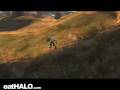 videos de Gltch