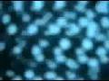 pr0n - Movie Trailer