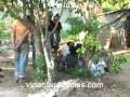 ESPECTACULAR OPERATIVO POLICIAL