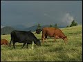 Senderismo en Bulgaria ,  Los Rodopes