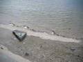 Tide Coming in at Tappen Beach, Sea Cliff, NY