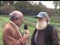 Organic Farming: Can It Feed Us? (Part 2)
