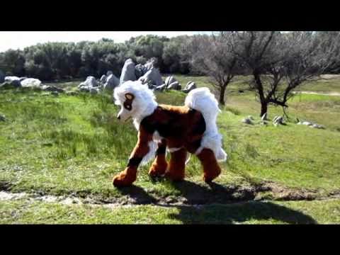 arcanine