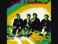 The Mr. T Experience-Slagbag The Mr. T Experience-Slagbag