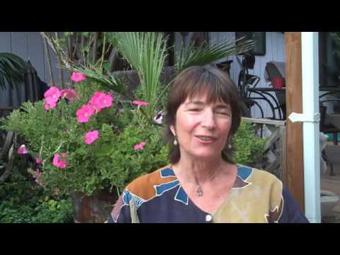 video_img