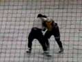 sparvier VS.   delorme
