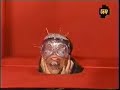 HAIRCUTTING AND REVENGE- AOTS HAIRCUTTING AND REVENGE- AOTS