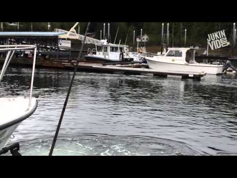 Just Another Day In The Marina