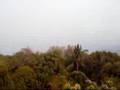 videos de @ Wat Phrathat Doi Suthep [06.03.2008]
