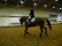 Isabell Werth Video 1.