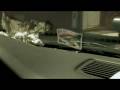 Trailer Banana's Poker